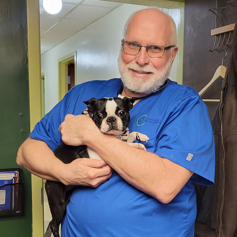 Veterinarian in York County, PA Community Animal Hospital